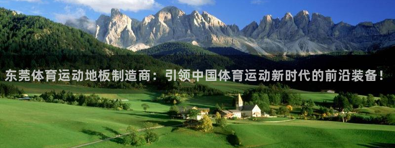 球友体育NBA直播：东莞体育运动地板制造商：引领中国体育运动新时代的前沿装备！