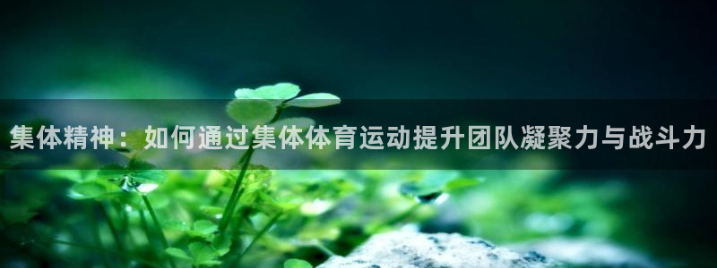 球友体育app小米应用商店版下载：集体精神：如何通过集体体育运动提升团队凝聚力与战斗力