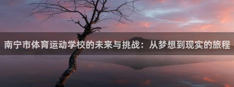 球友体育官网下载：南宁市体育运动学校的未来与挑战：从梦想到现实的旅程