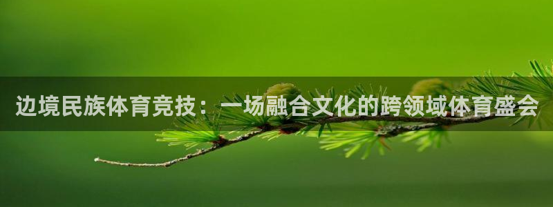 球友体育NBA直播：边境民族体育竞技：一场融合文化的跨领域体育盛会