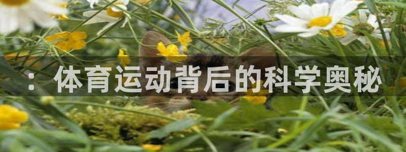 球友体育app下载官网：：体育运动背后的科学奥秘