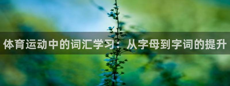 球友体育app小米应用商店版下载：体育运动中的词汇学习：从字母到字词的提升