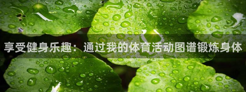 球友体育免费看nba：享受健身乐趣：通过我的体育活动图谱锻炼身体