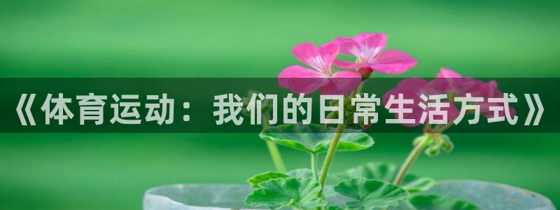 球友体育-NBA直播App下载：《体育运动：我们的日常生活方式》