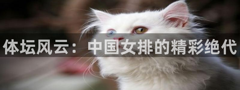 球友体育zhibo：体坛风云：中国女排的精彩绝代